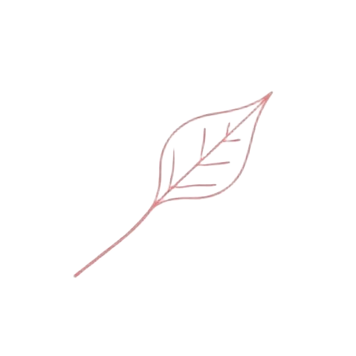 Hand-drawn leaf illustration representing Step 1 Recognize — seeing what no longer serves you